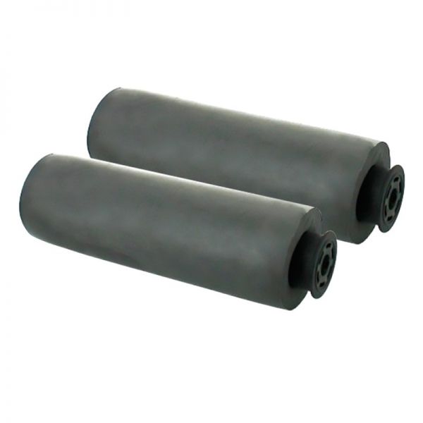 KIT CEPILLOS PVA ZODIAC CYCLONX (2 UDS)