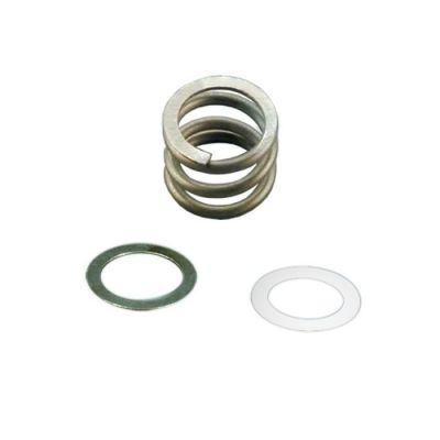 RESORTE CON ARANDELA PARA VALVULA SELECTORA ASTRALPOOL